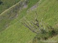 pays-basque-g92_2311
