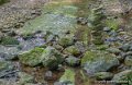 pays-basque-g92_2313