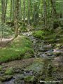 pays-basque-g92_2314