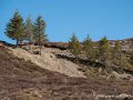 soulor-g92_1832