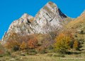 soulor-g92_2667