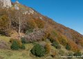 soulor-g92_2669