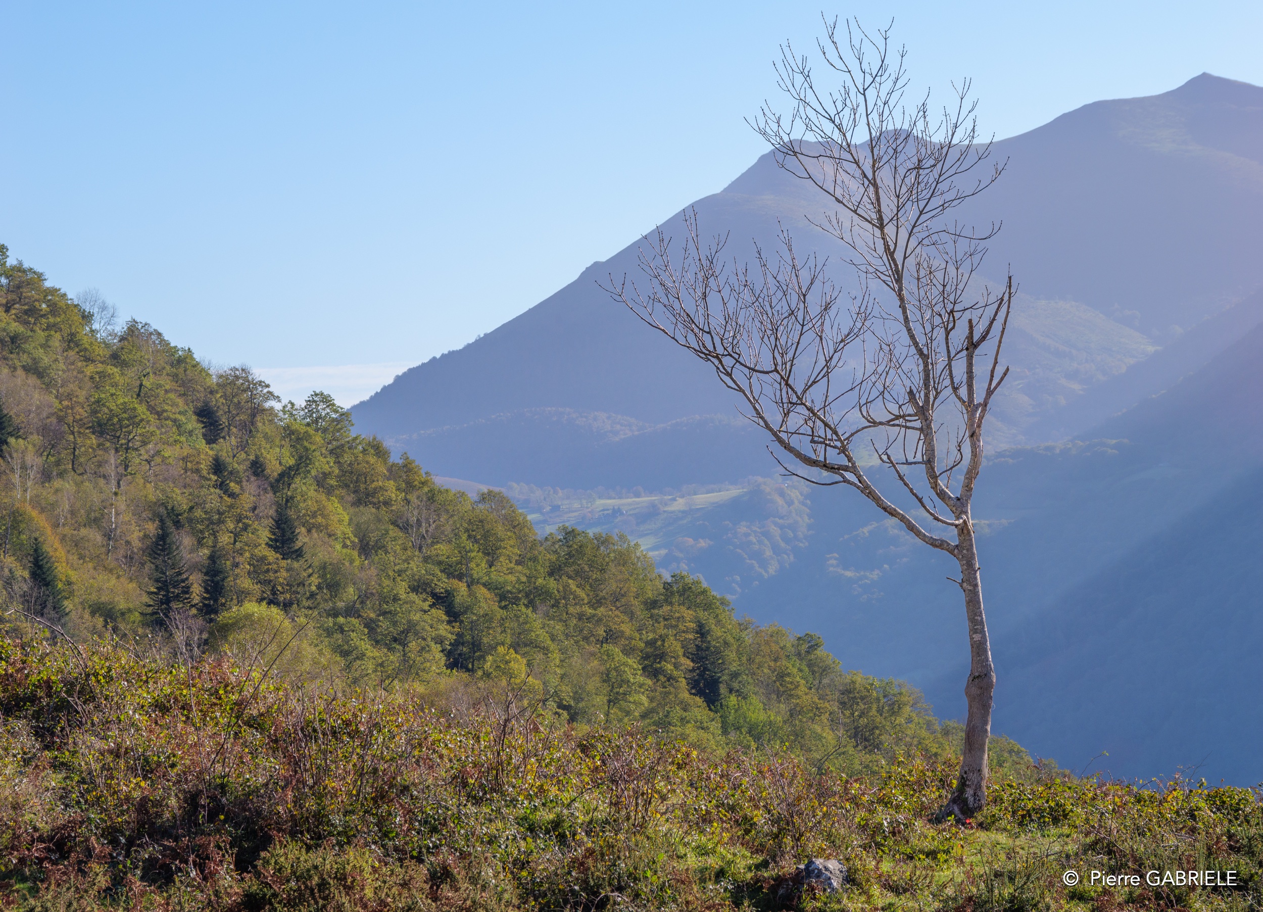 benou--gh7_0105.jpg