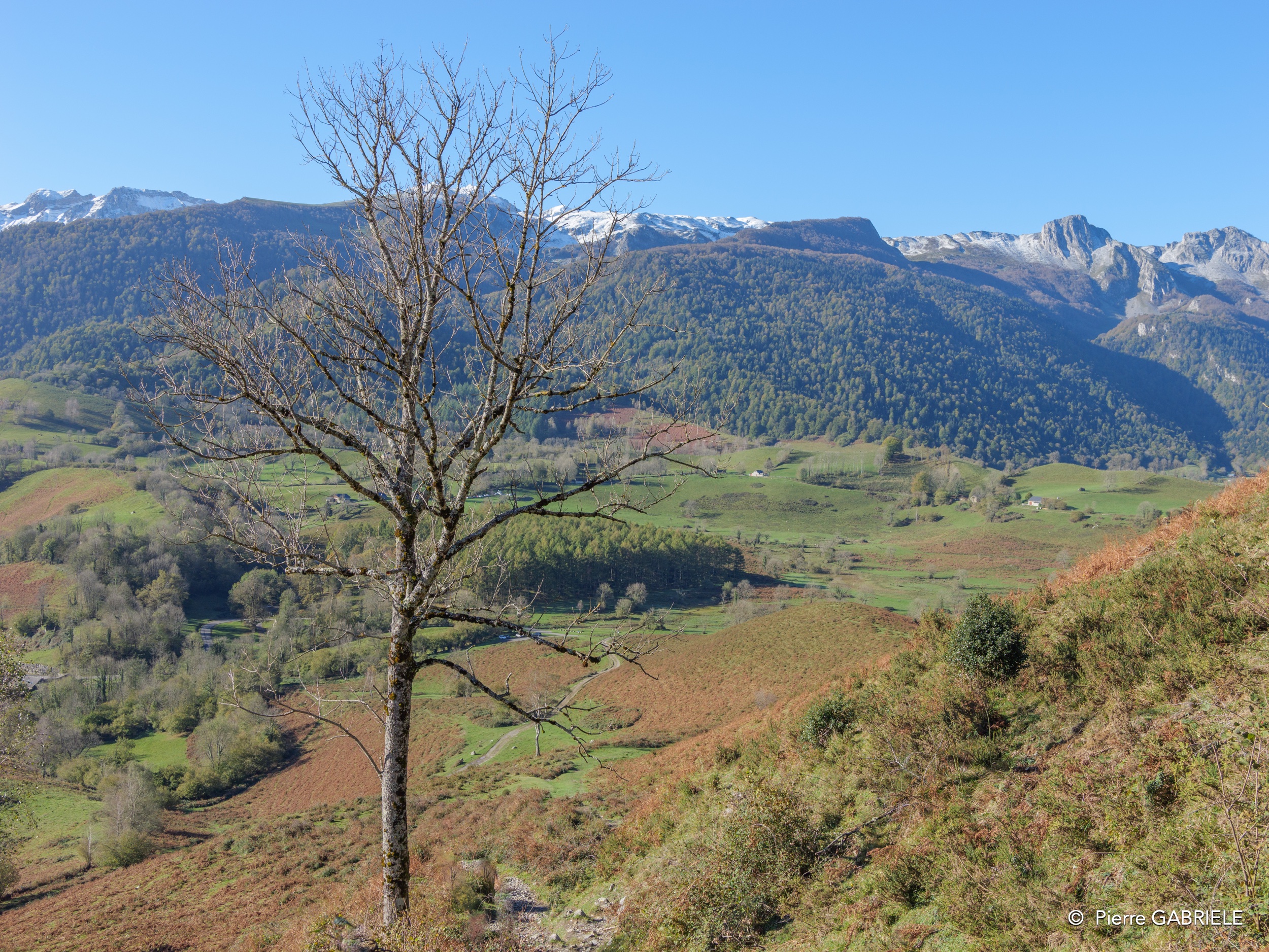 benou--gh7_0112.jpg