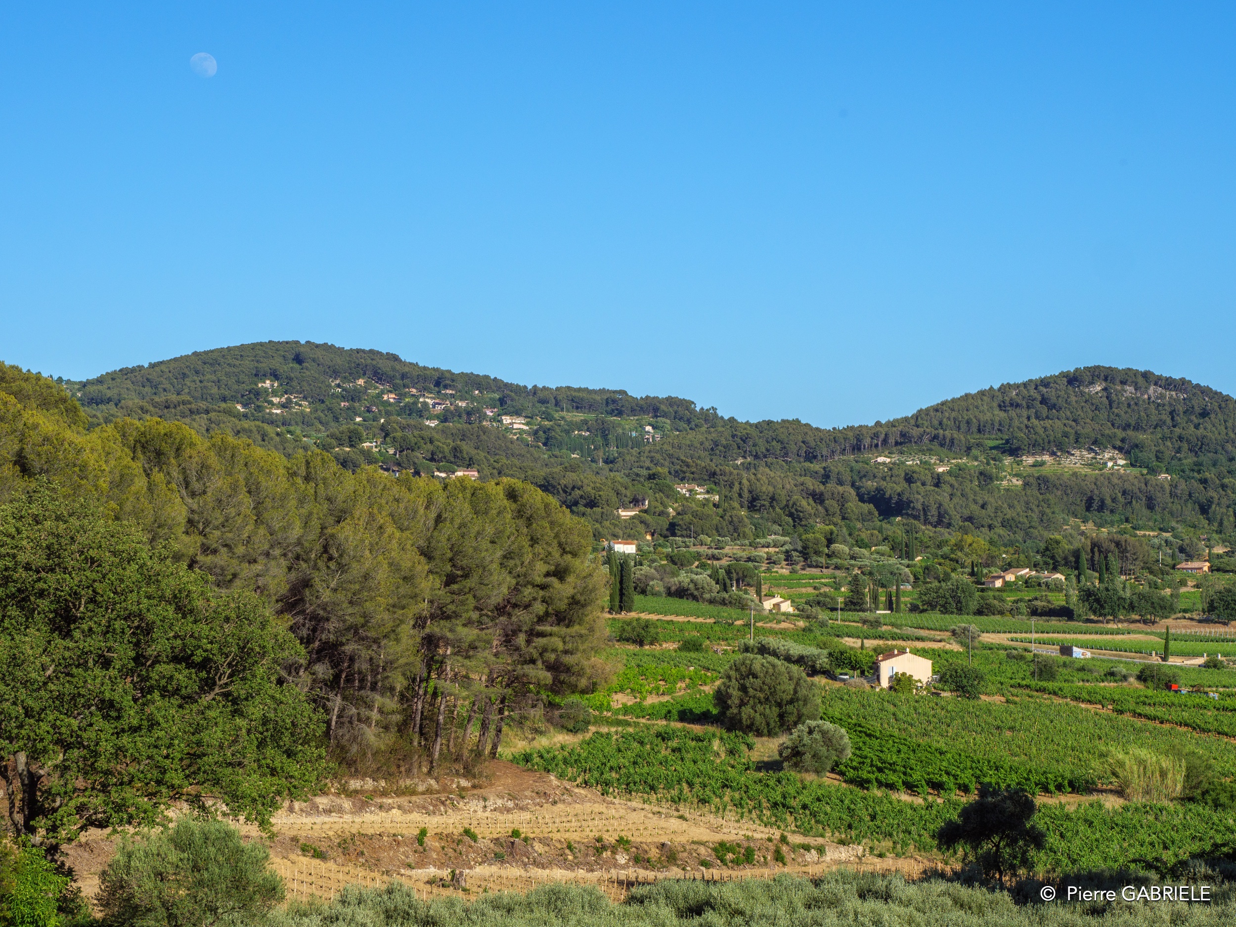 le-castellet-g91_-g9_2744.jpg