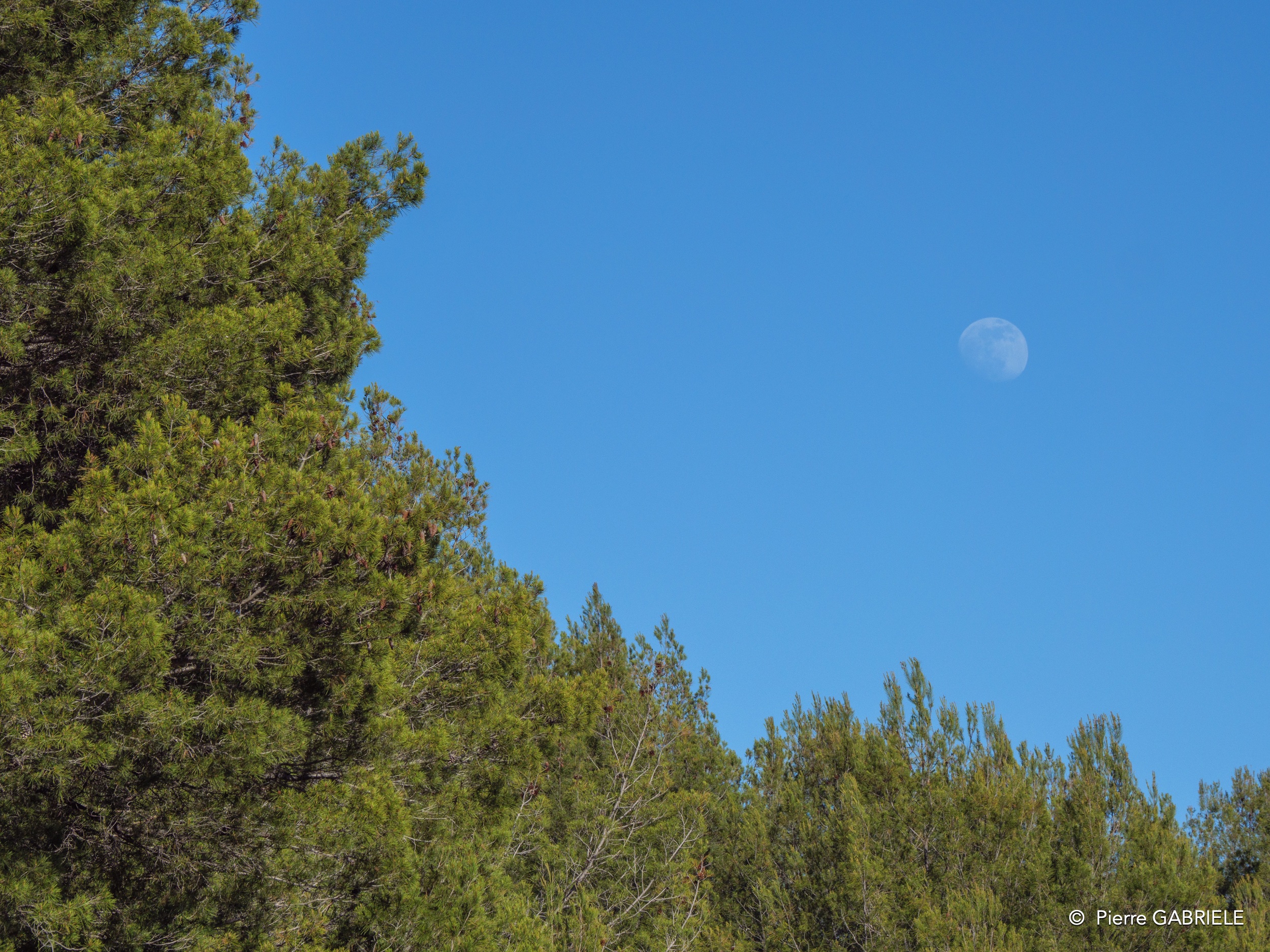 le-castellet-g91_-g9_2745.jpg