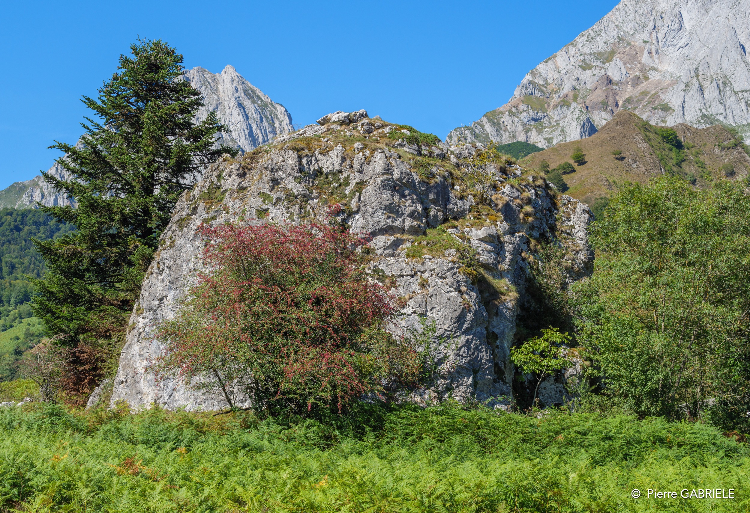 lescun-g9_3667-Panorama.jpg