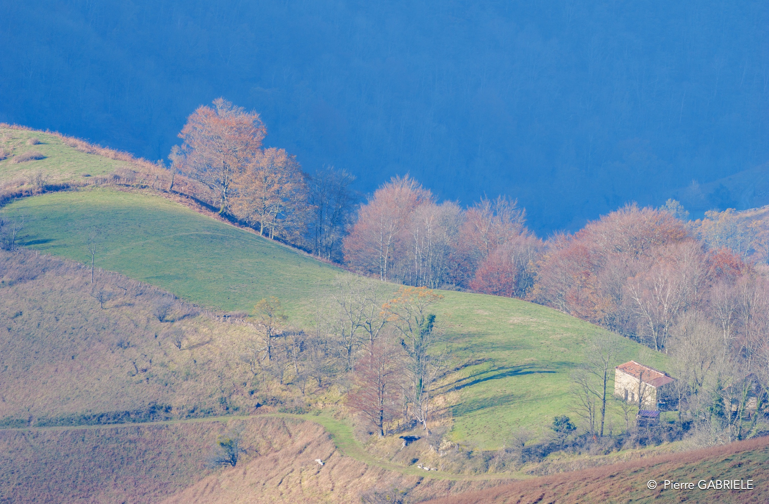 pays-basque--gh6_4570.jpg