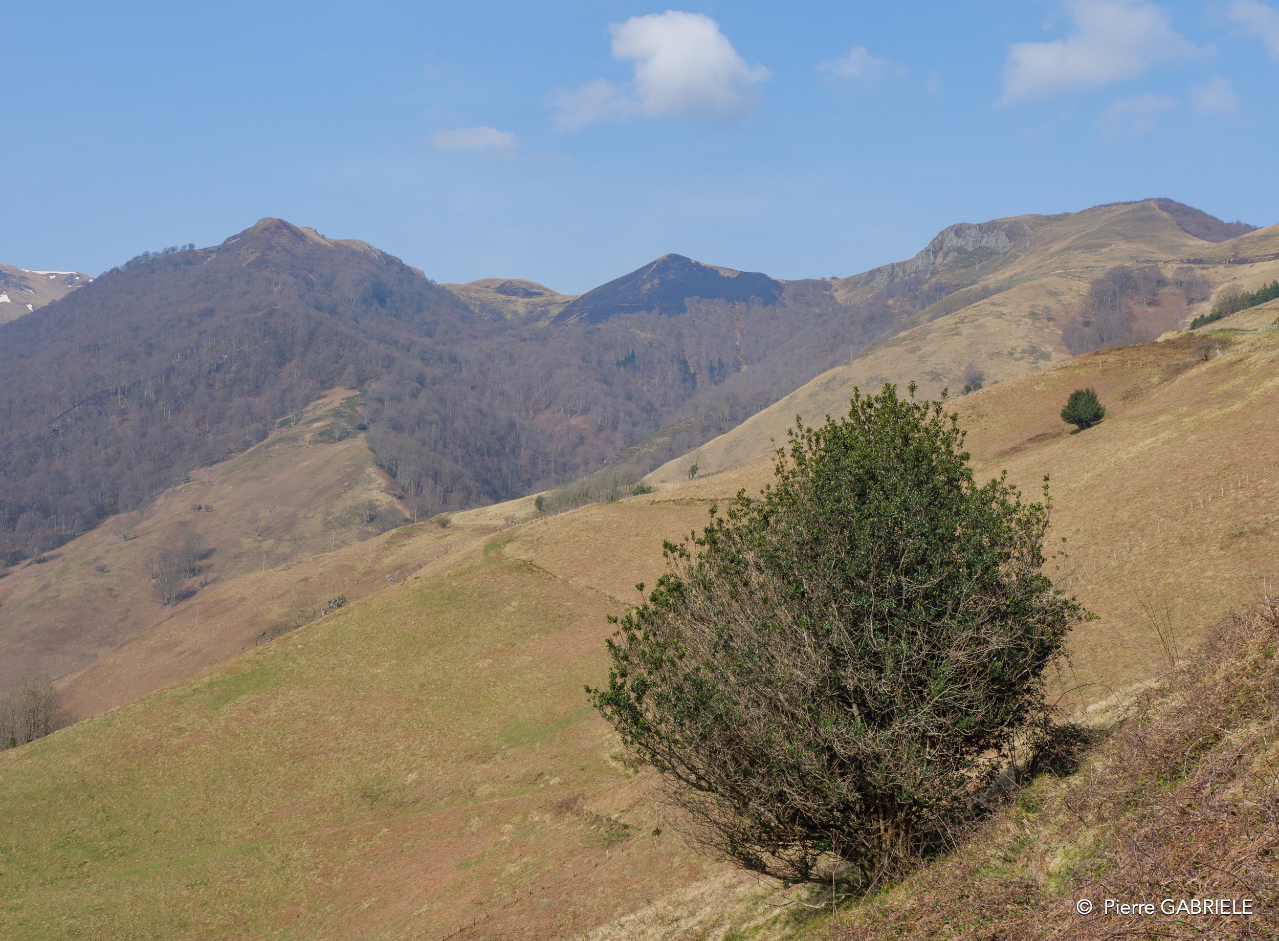 pays-basque-g91_1692.jpg