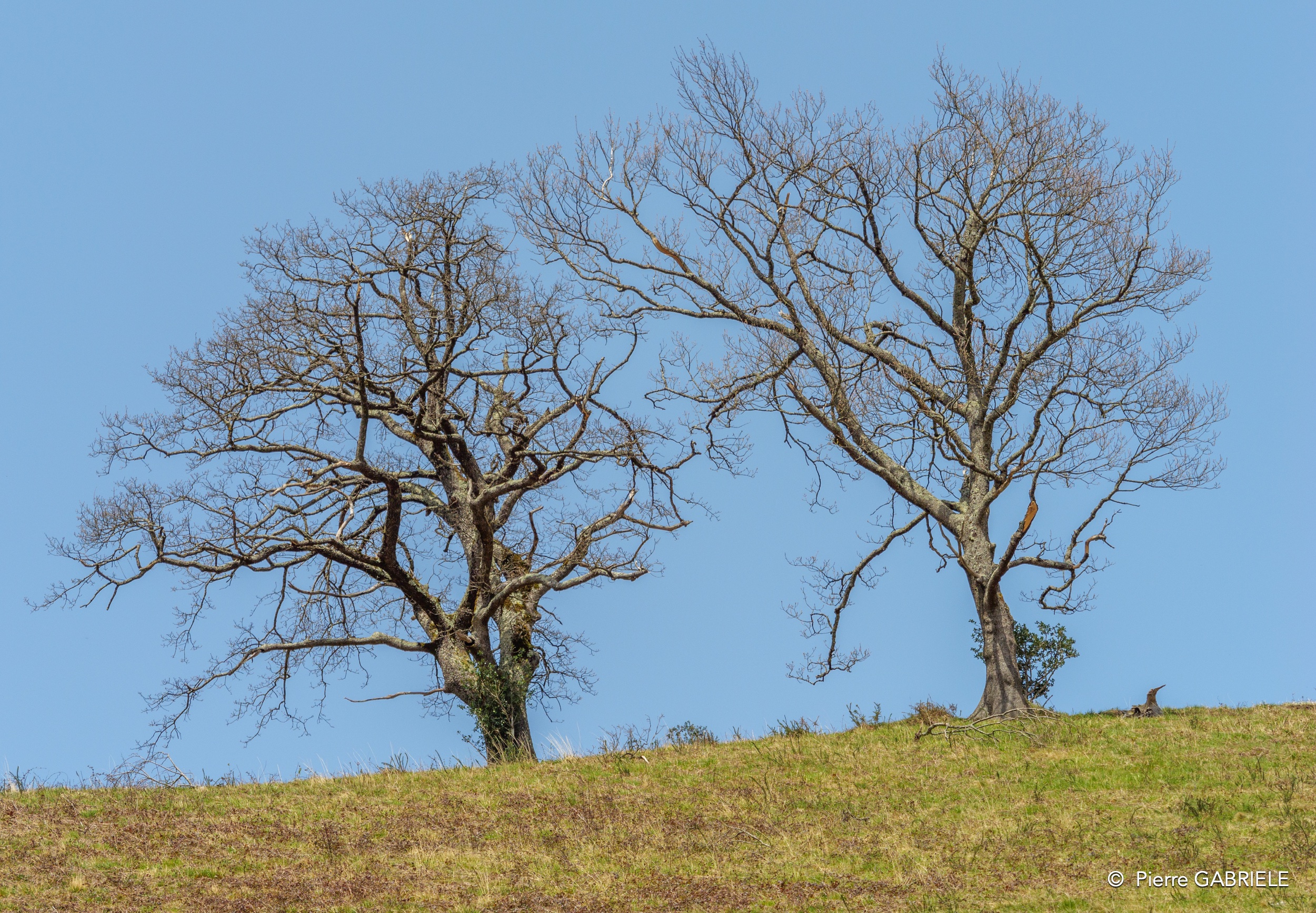 pays-basque-gh6_0017.jpg