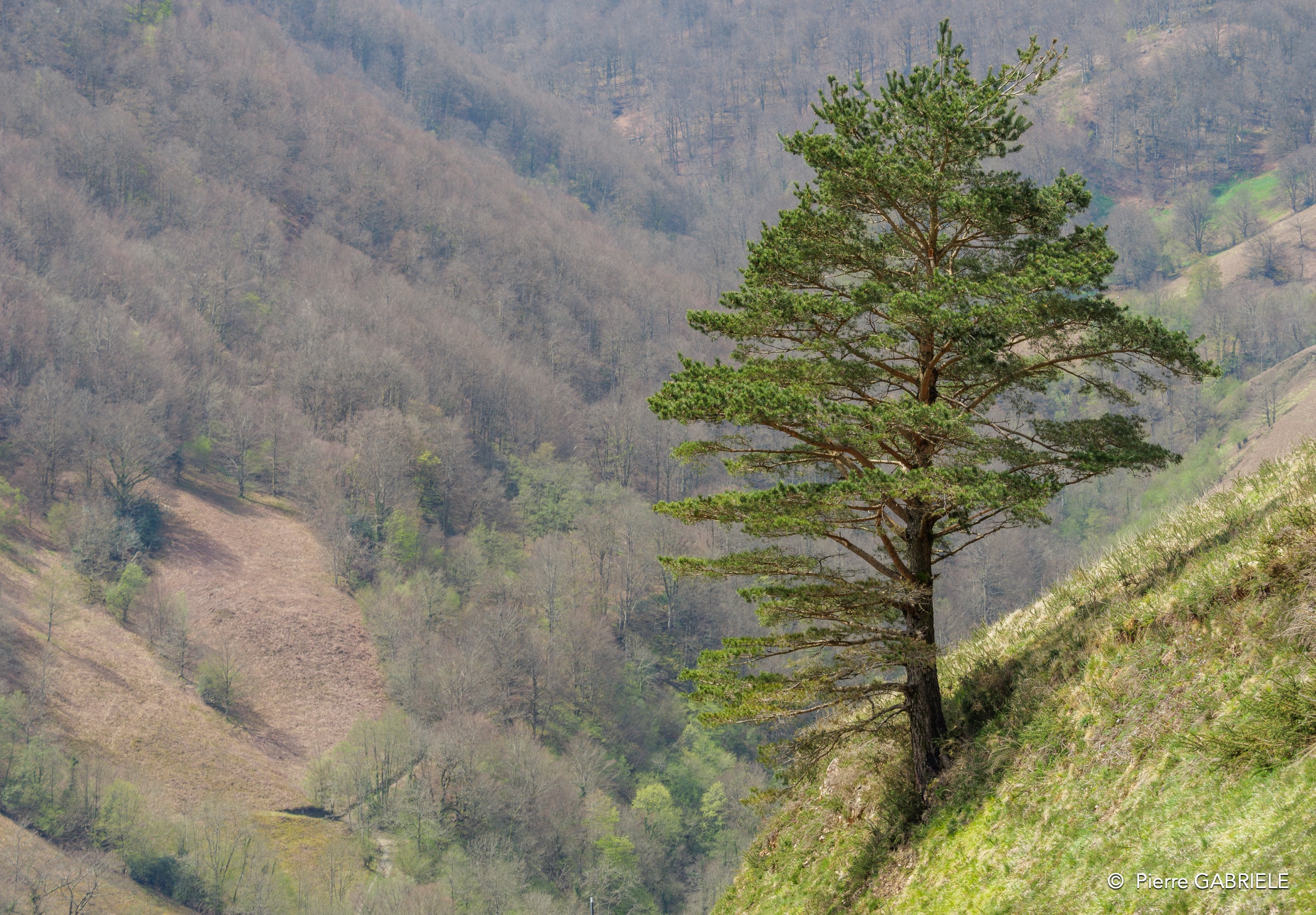 pays-basque-gh6_0021.jpg