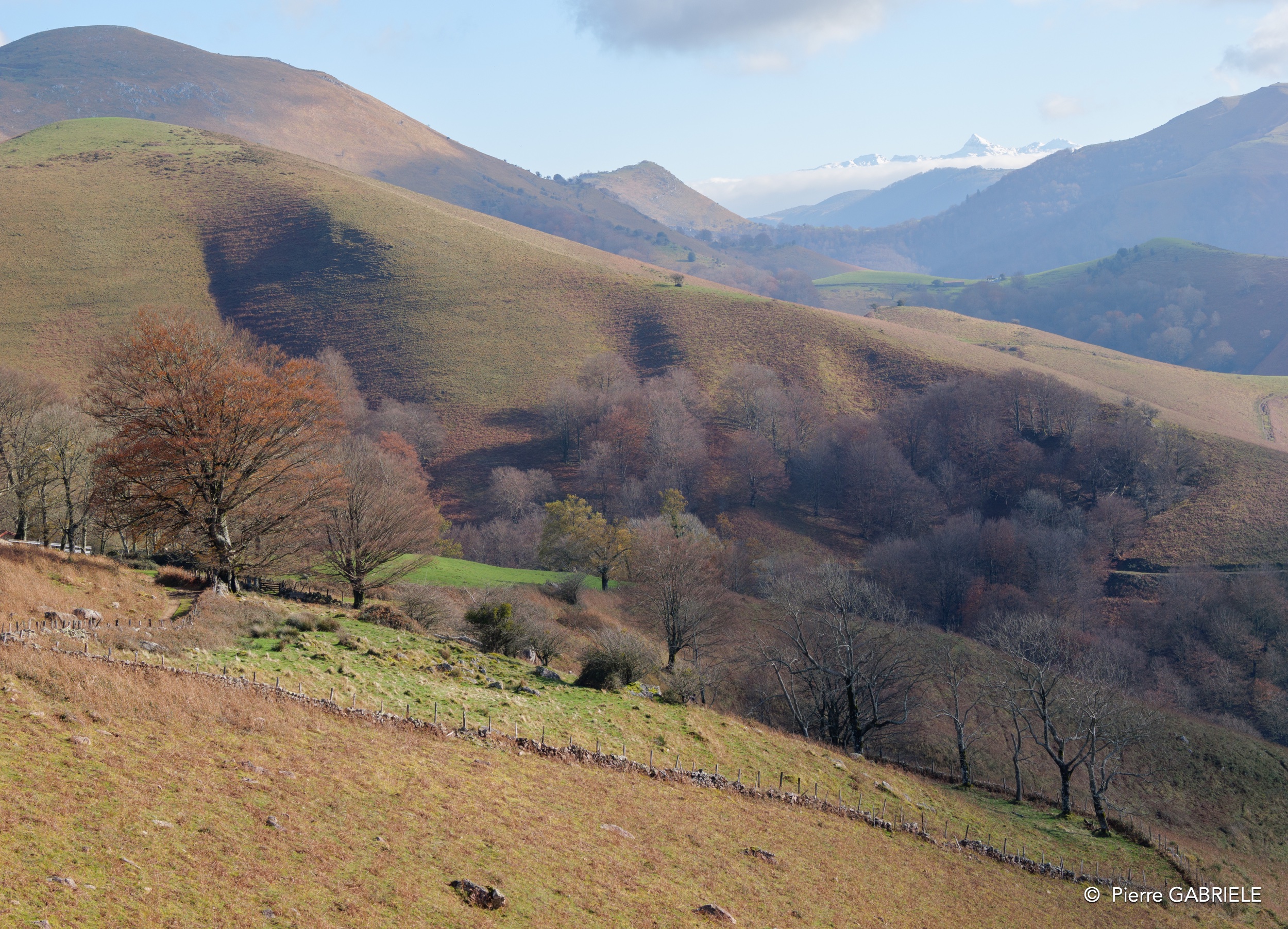 pays-basque-gh7_0276.jpg
