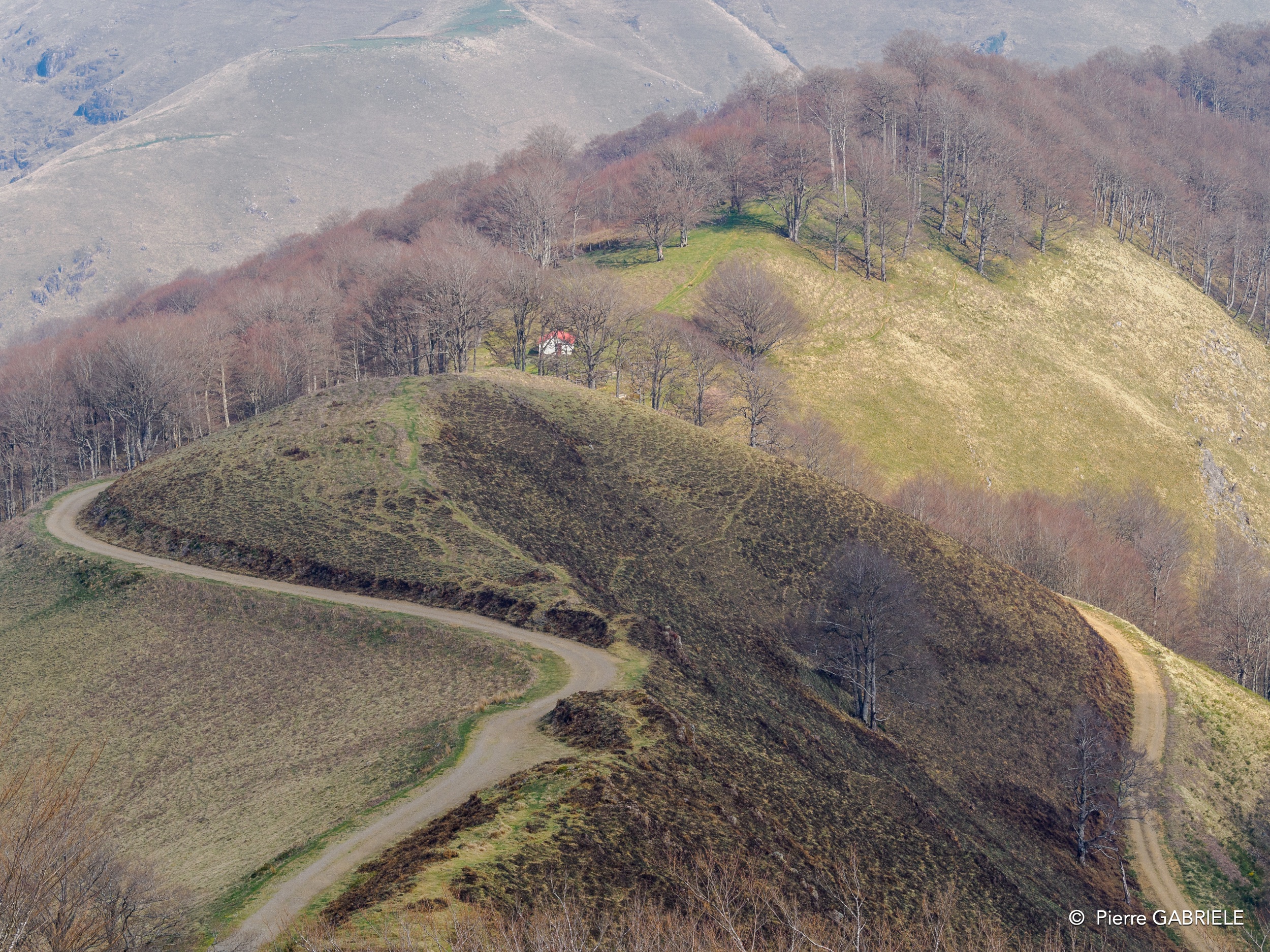 pays-basque-oly1_0110.jpg
