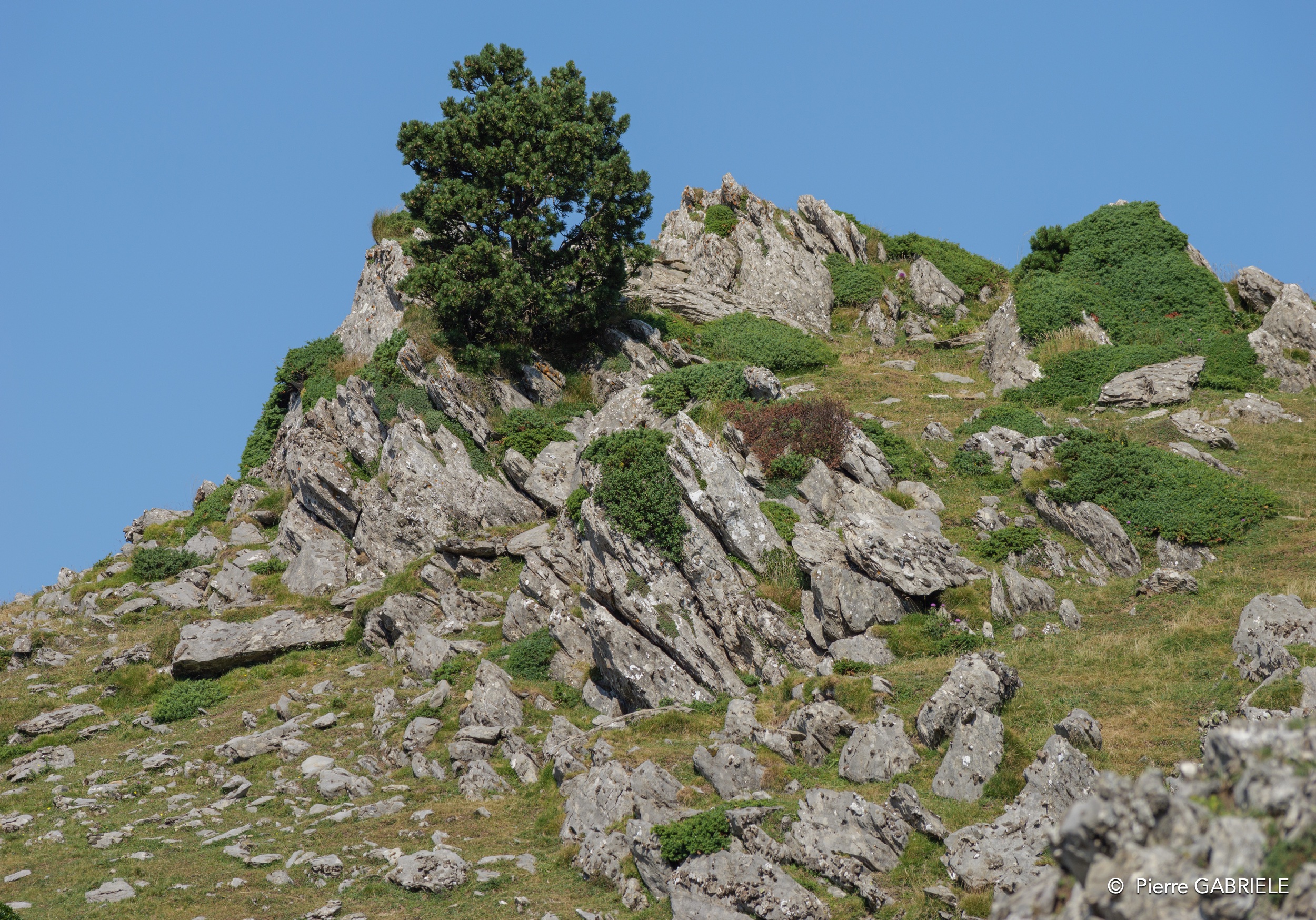 pierre-st-martin-gh6_3765.jpg