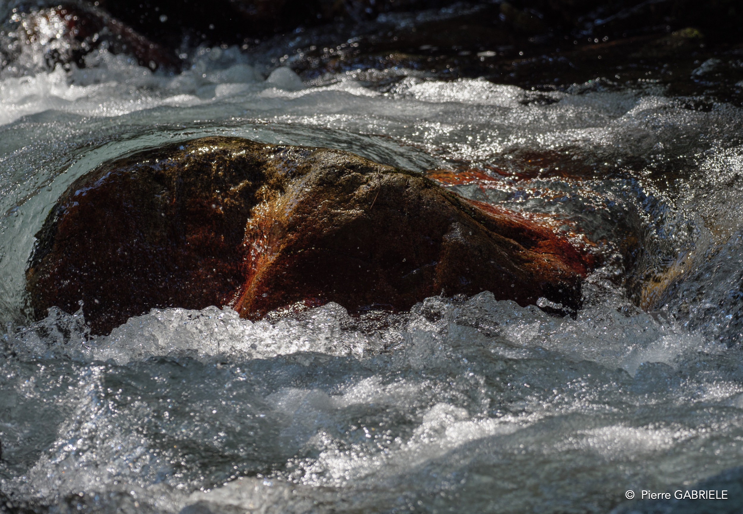 riviere-g9_3410.jpg