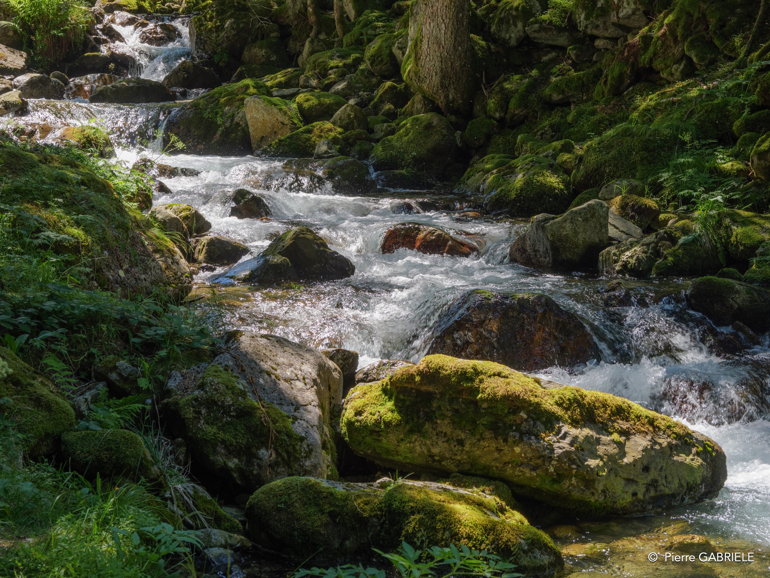 riviere-gh6_3718.jpg