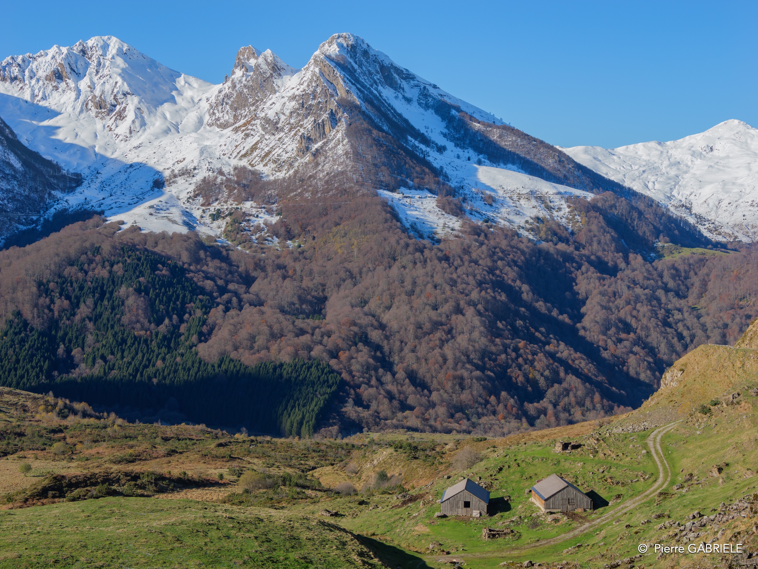 soulor-gh7_0201.jpg