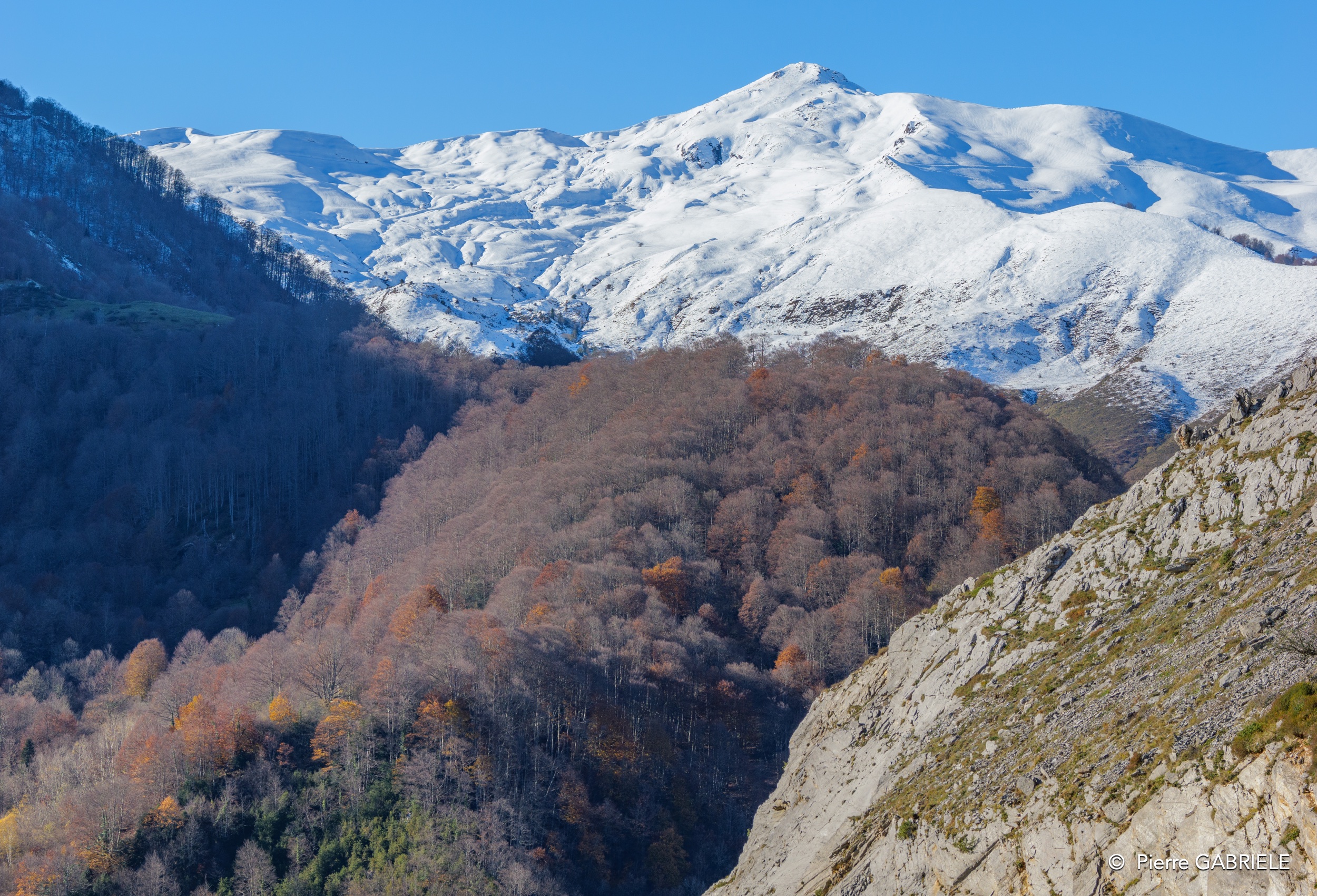 soulor-gh7_0216.jpg