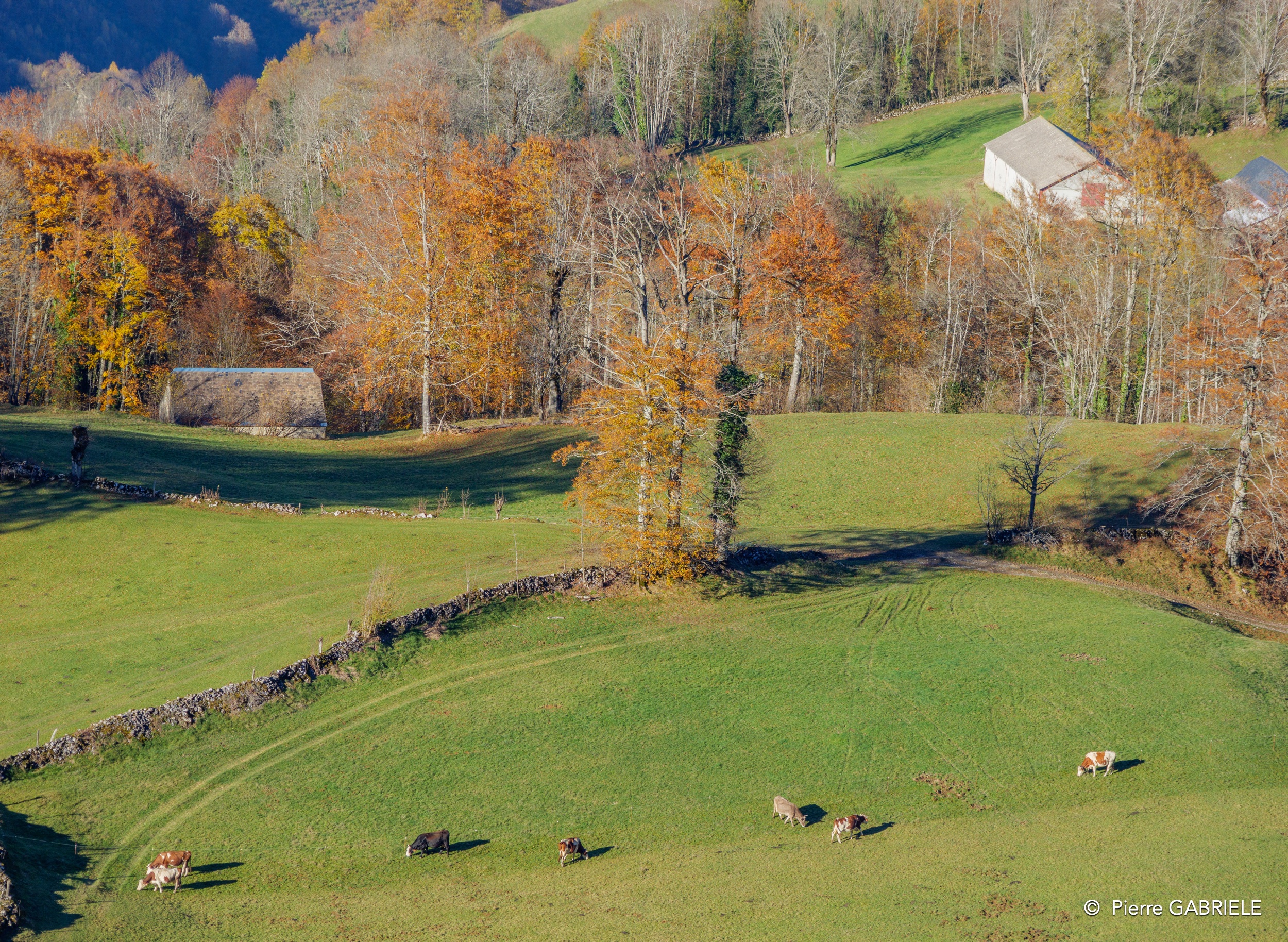 soulor-gh7_0221.jpg