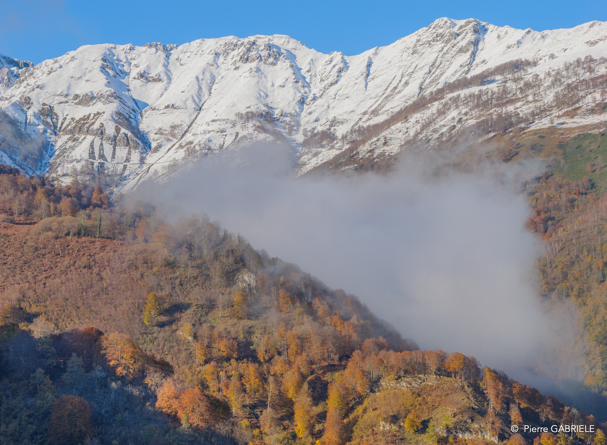 soulor-gh7_0224.jpg