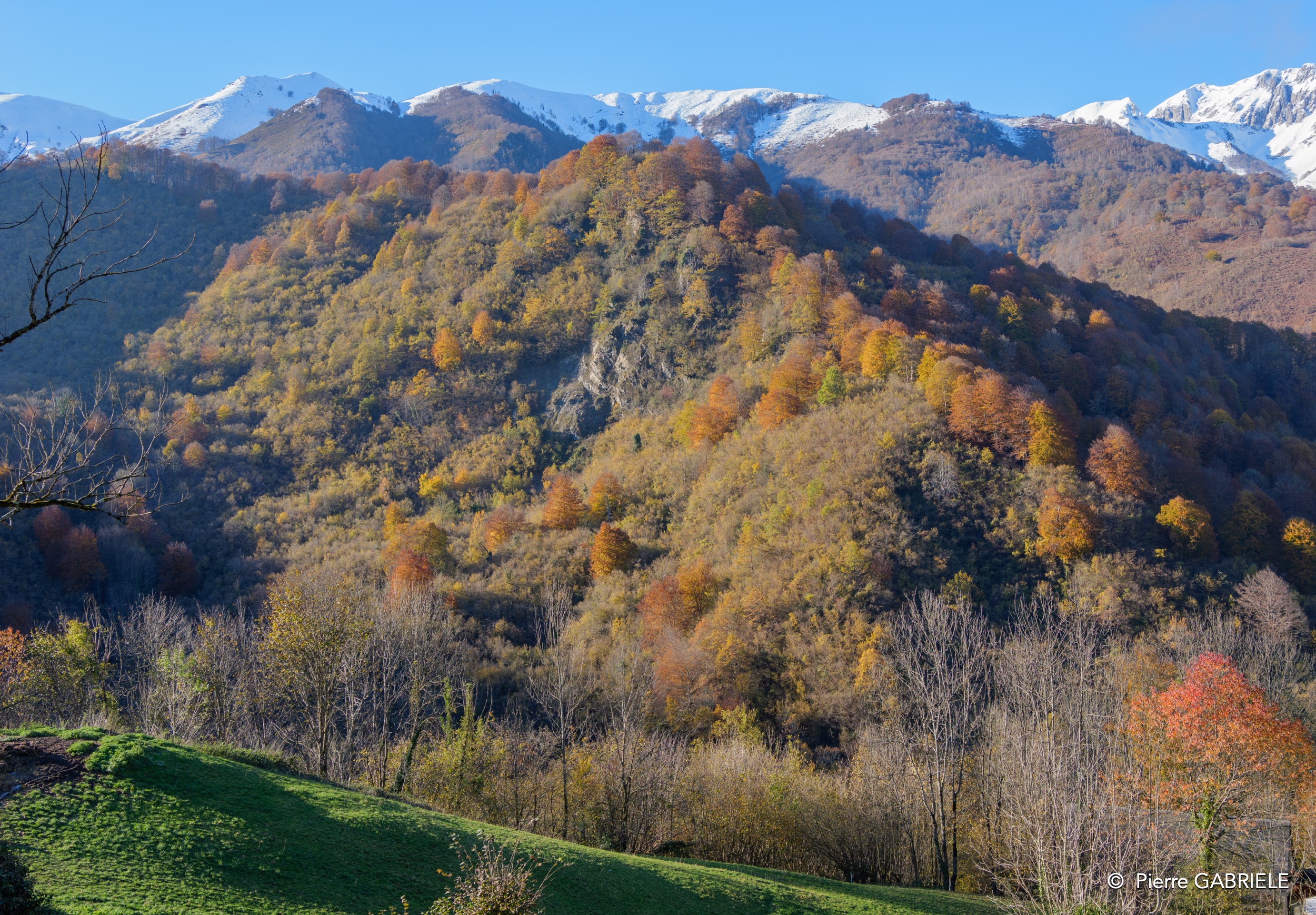 soulor-gh7_0226.jpg
