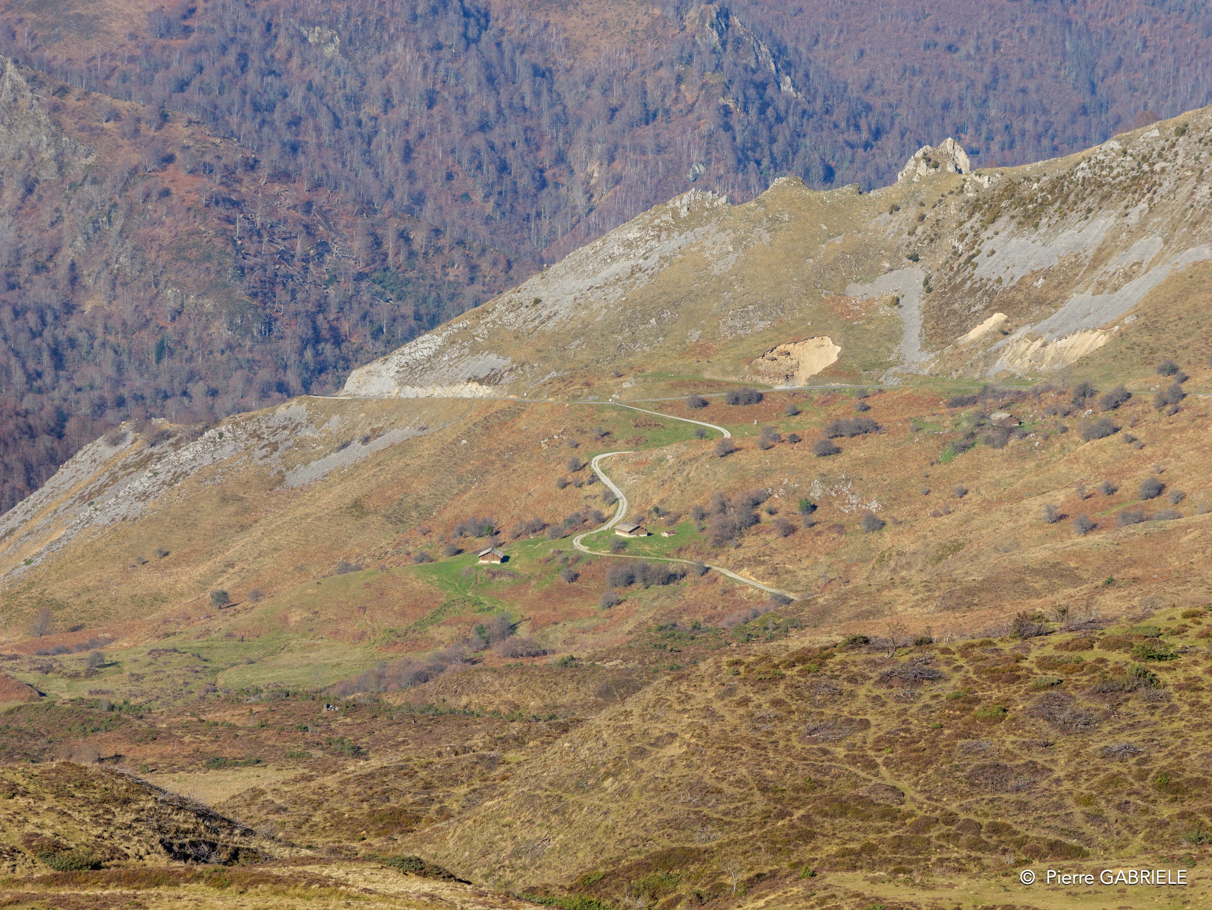 soulor-gh7_0334.jpg