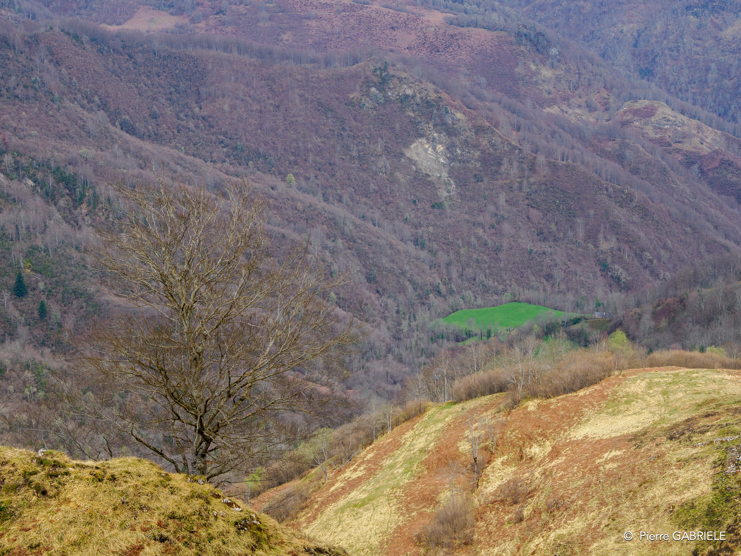 soulor-oly1_0020.jpg
