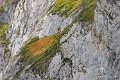 aubisque-gh6_4430