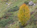 aubisque-gh6_4434