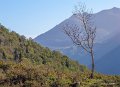 benou--gh7_0105