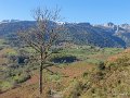 benou--gh7_0112