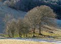 benou-g92_2990