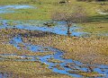 benou-g93_2700