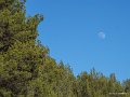 le-castellet-g91_-g9_2745
