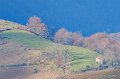 pays-basque--gh6_4570