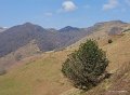 pays-basque-g91_1692