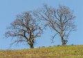 pays-basque-gh6_0017