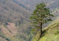 pays-basque-gh6_0021