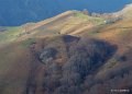 pays-basque-gh7_0254
