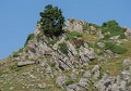 pierre-st-martin-gh6_3765