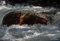 riviere-g9_3410