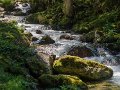 riviere-gh6_3718
