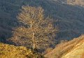 soulor-g92_2970