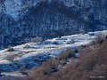 soulor-gh6_4538