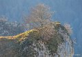 soulor-gh7_0219