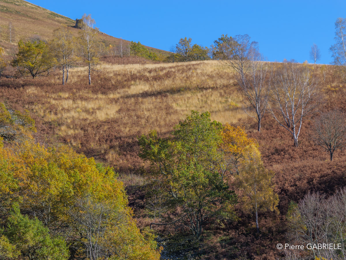 accous-gh7_3268.jpg