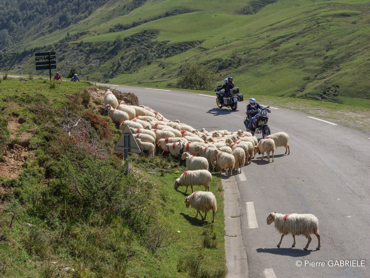 aubisque-soulor-gh6_6338.jpg