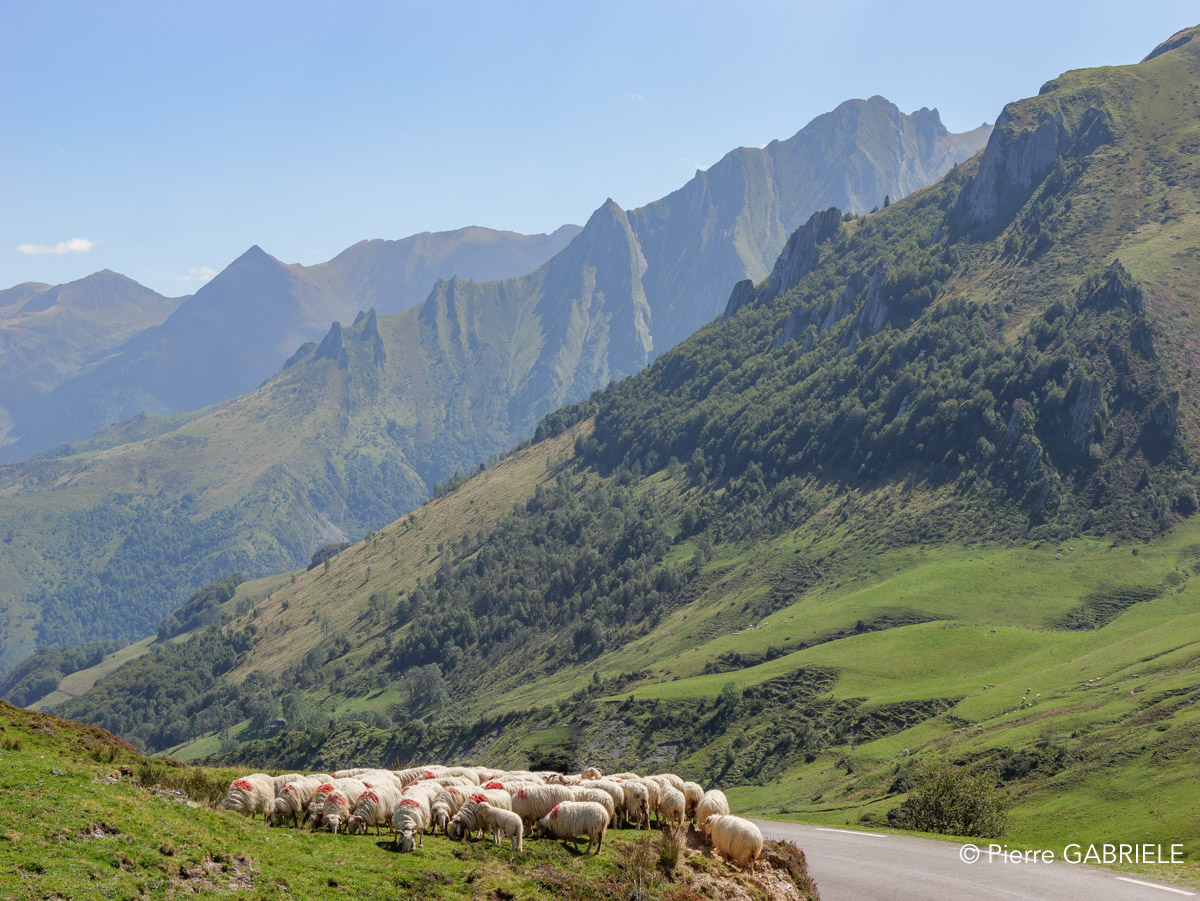 aubisque-soulor-gh6_6339.jpg