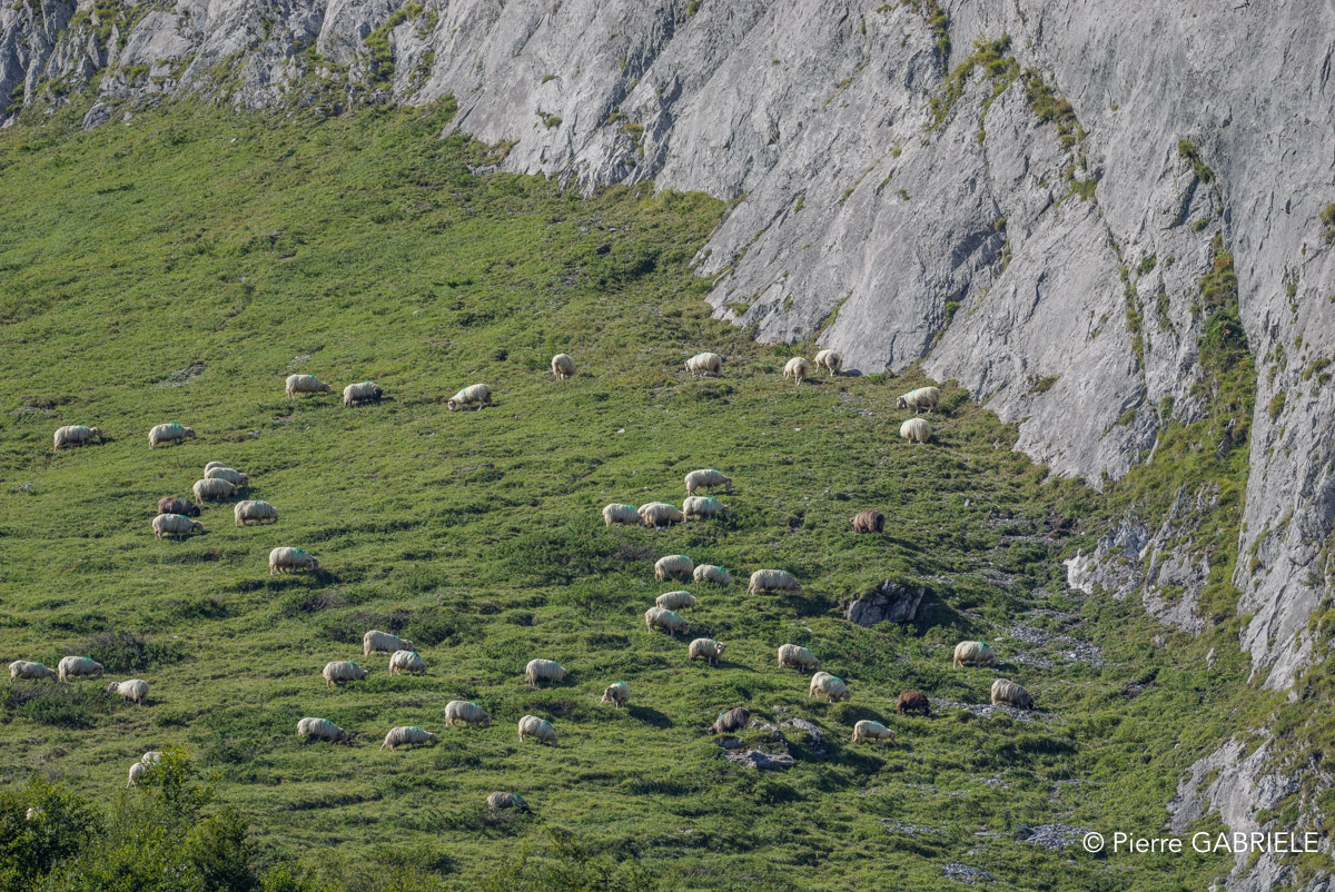 aubisque-soulor-gh7_3034.jpg
