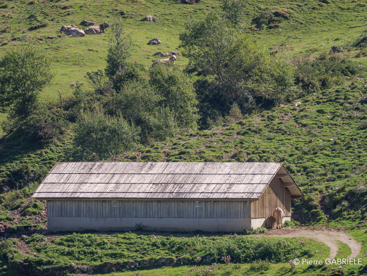aubisque-soulor-gh7_3039.jpg